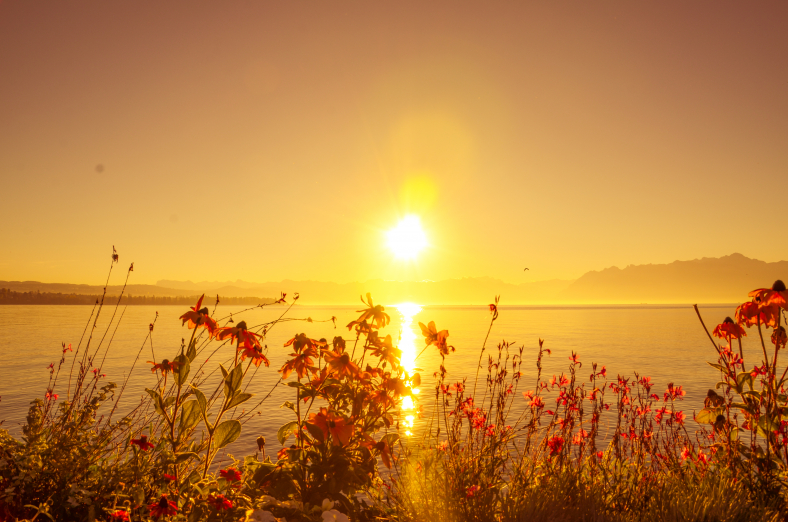 Sunshine